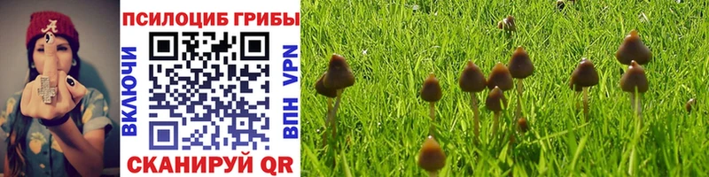 Псилоцибиновые грибы Magic Shrooms  гидра сайт  Талица 